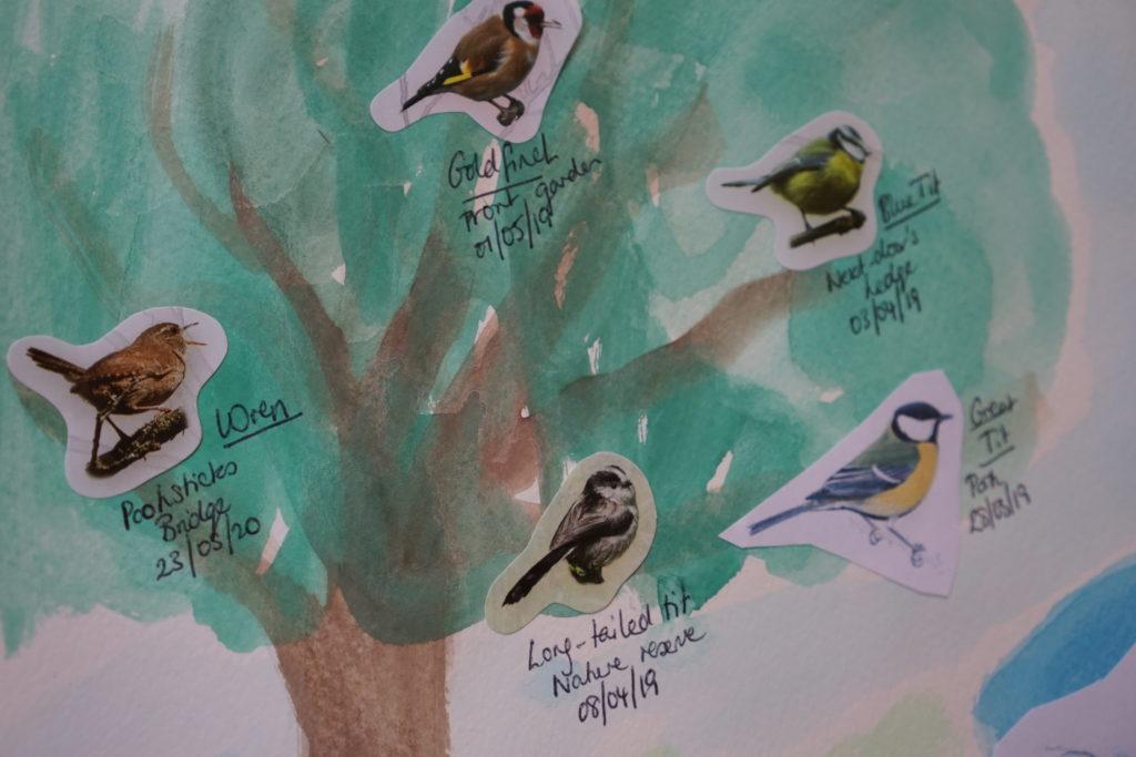 Children's birdwatching activity, a picture chart with stickers to log different birds.