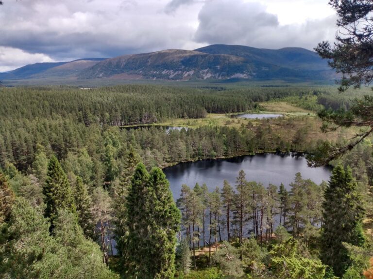 Farleitter Crag and Uath Lochans: two family walks in the Cairngorms