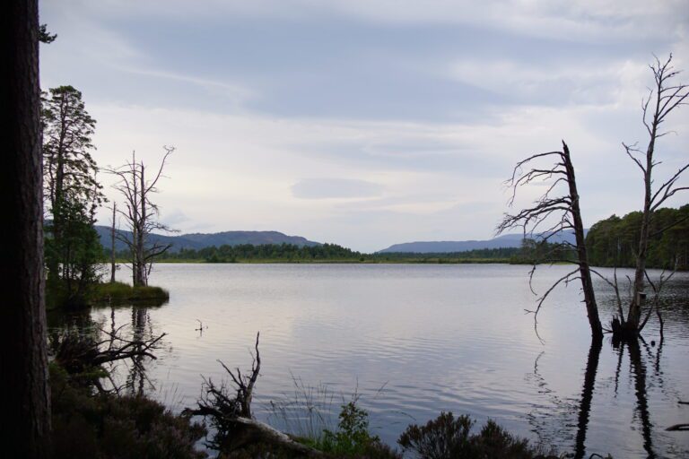 The Two Lochs Trail – Loch Mallachie and Loch Garten
