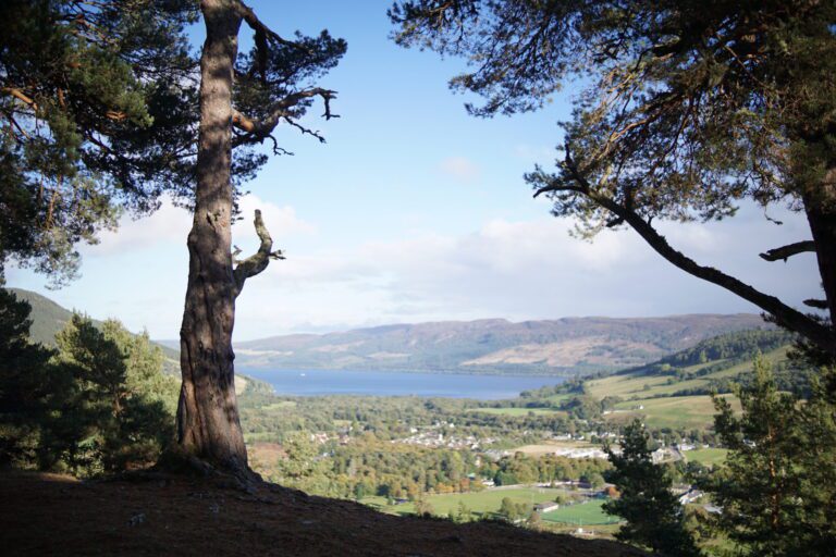 Craigmonie walk: Loch Ness views and a Viking prince