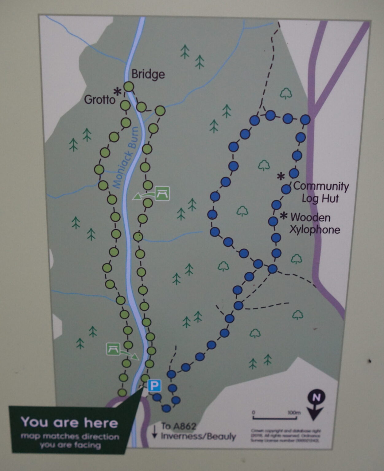 Reeling Walk Reelig Glen: A tall trees walk! – Water and Wild